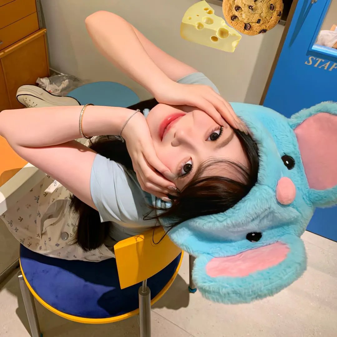 女人的碎片